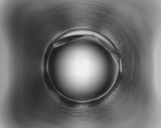 X0000096440252200801241404