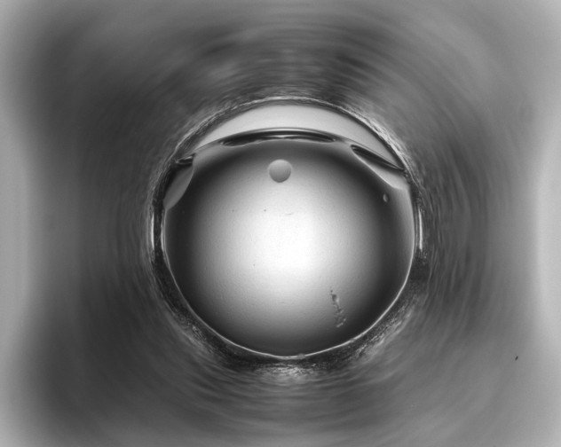 X0000096440253200801241404