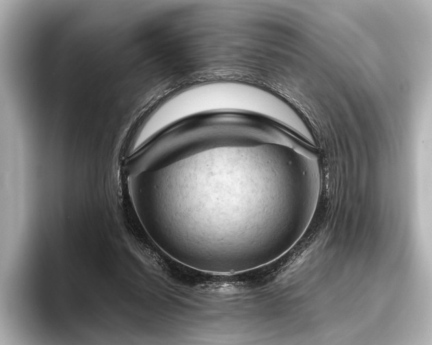X0000096440254200801241404