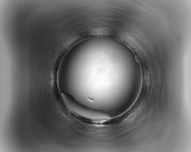 X0000096440255200801241404