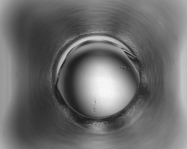 X0000096440256200801241404
