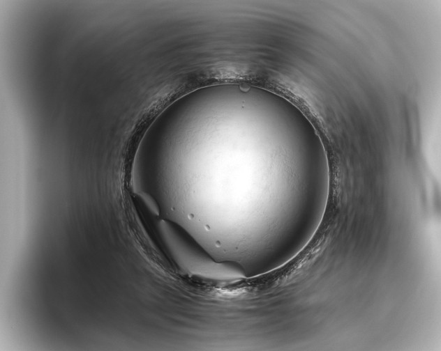 X0000096440257200801241404