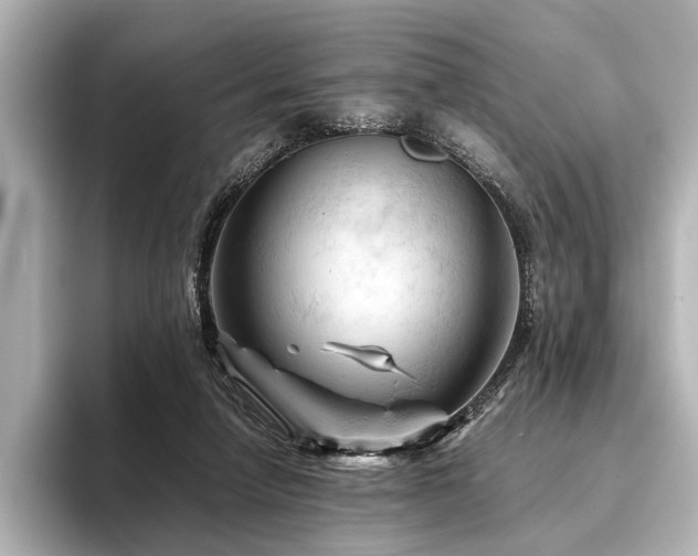 X0000096440258200801241404