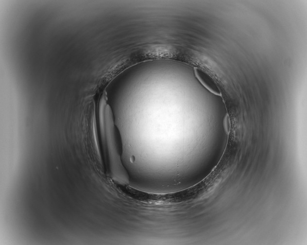 X0000096440259200801241404