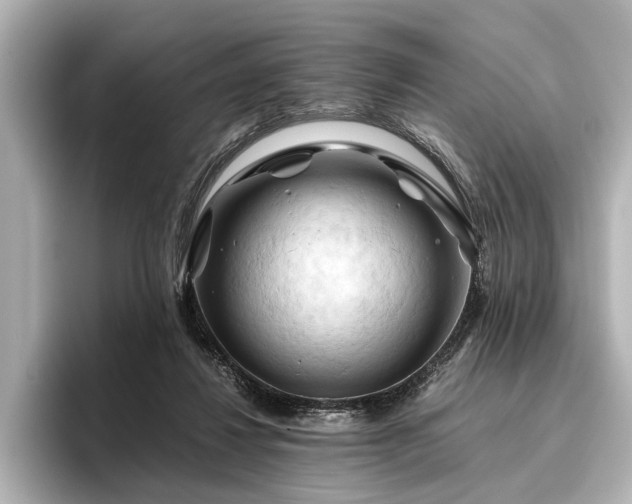 X0000096440260200801241404