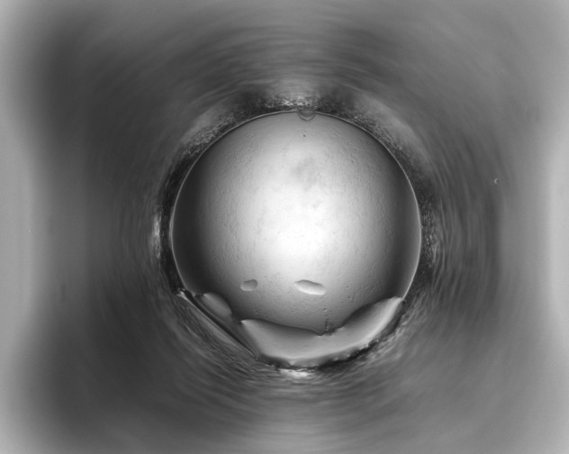 X0000096440262200801241404