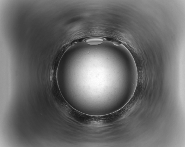 X0000096440263200801241404