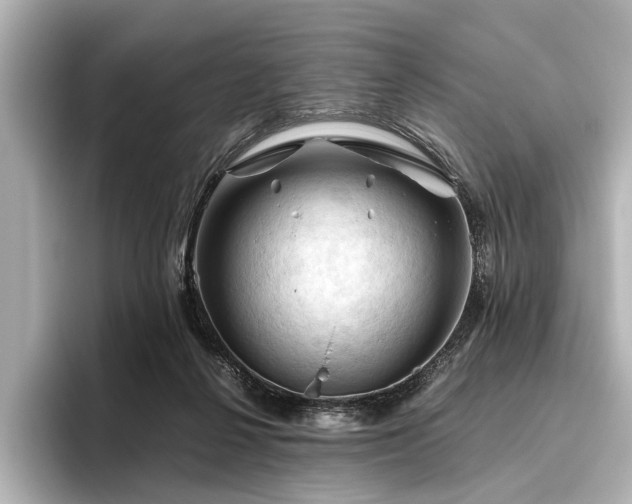 X0000096440264200801241404