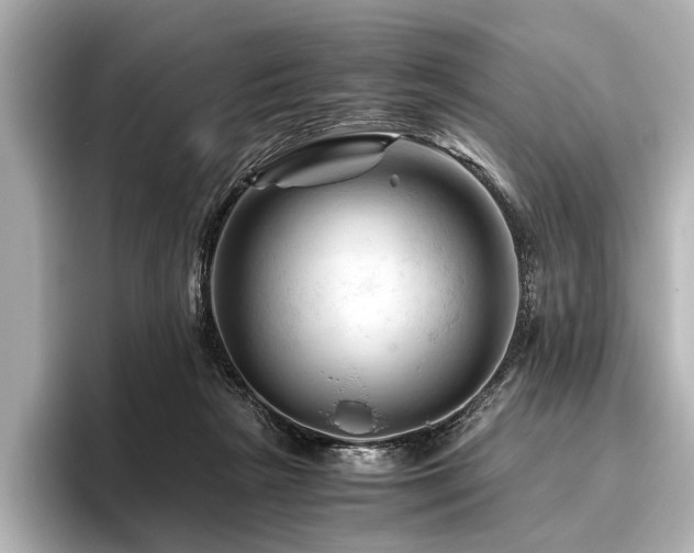 X0000096440265200801241404