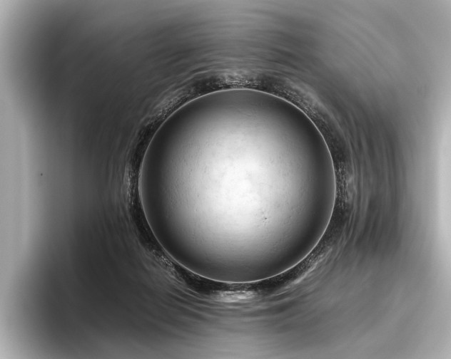 X0000096440266200801241404