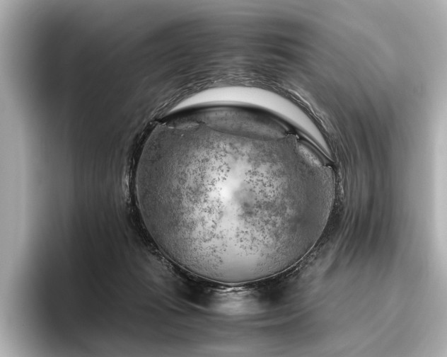 X0000096440269200801241404