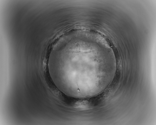 X0000096440271200801241404