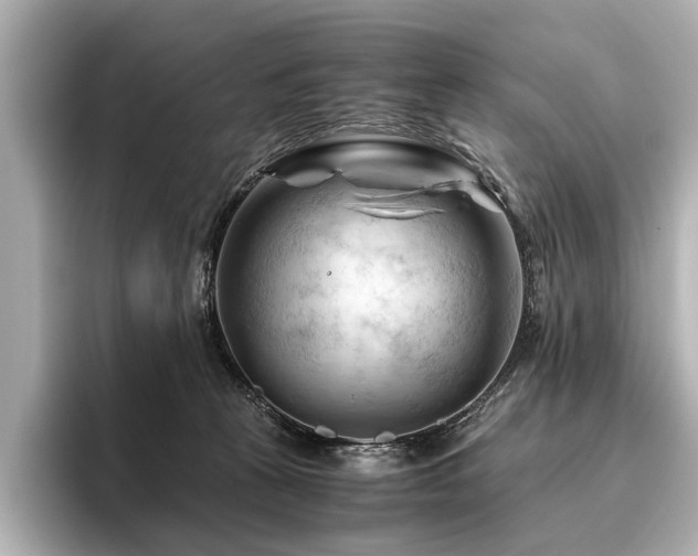 X0000096440273200801241404