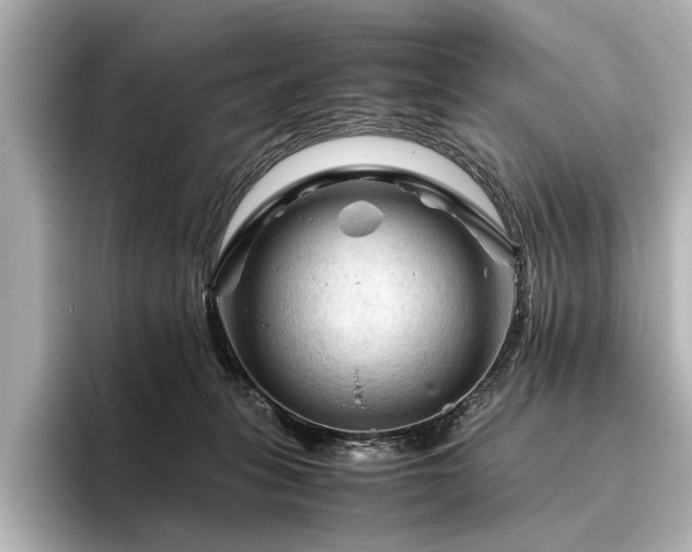X0000096440275200801241404