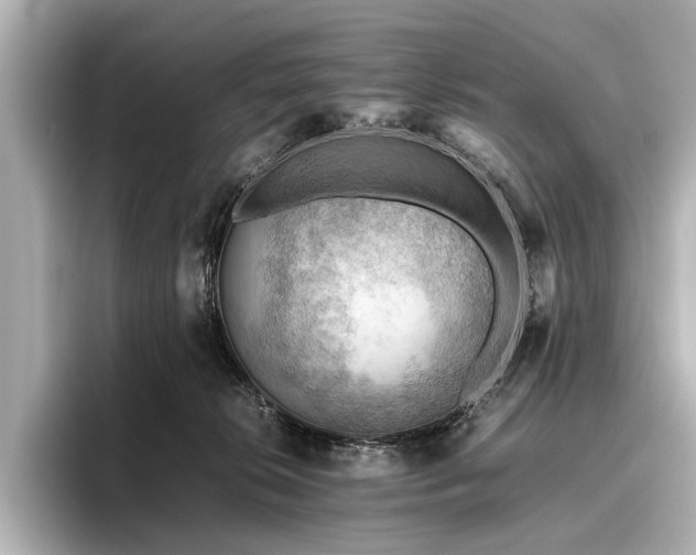 X0000096440276200801241404