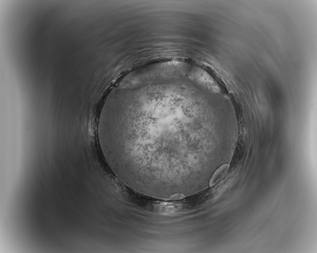 X0000096440277200801241404