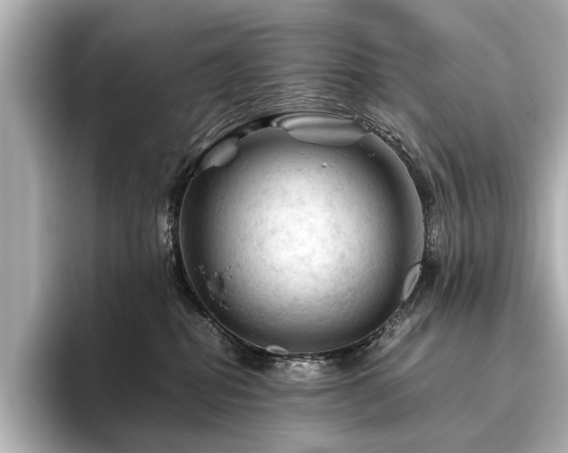 X0000096440282200801241405