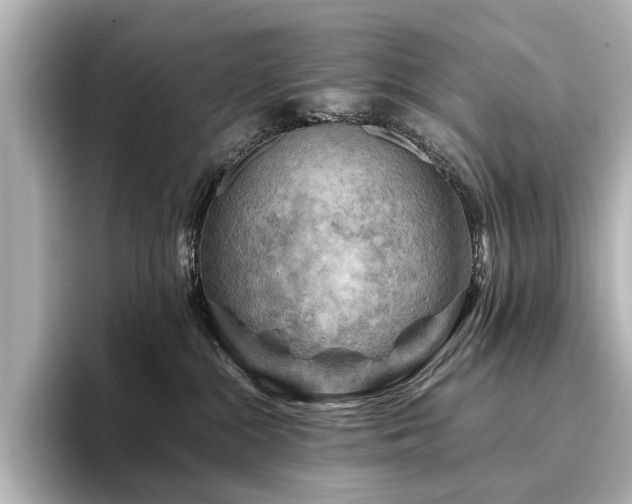 X0000096440284200801241405