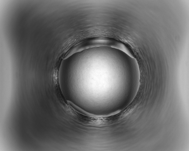 X0000096440288200801241405
