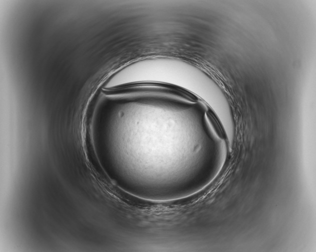 X0000096440290200801241404