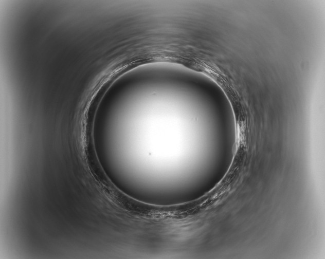 X0000096440291200801241404