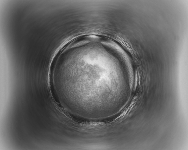 X0000096440292200801241404