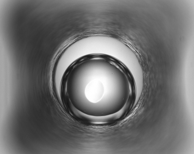 X0000096440293200801241404