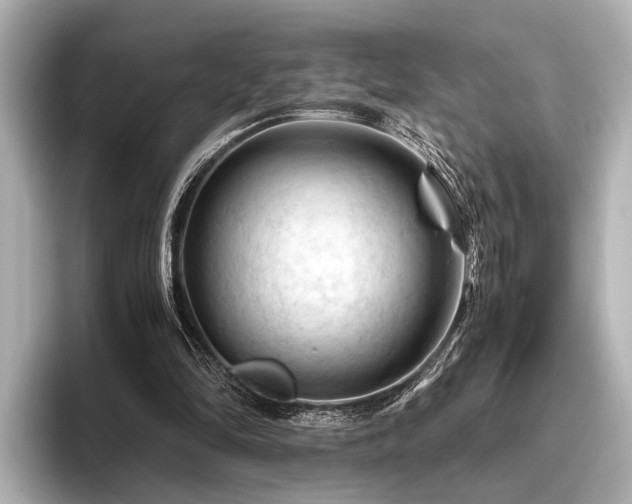 X0000096440294200801241404