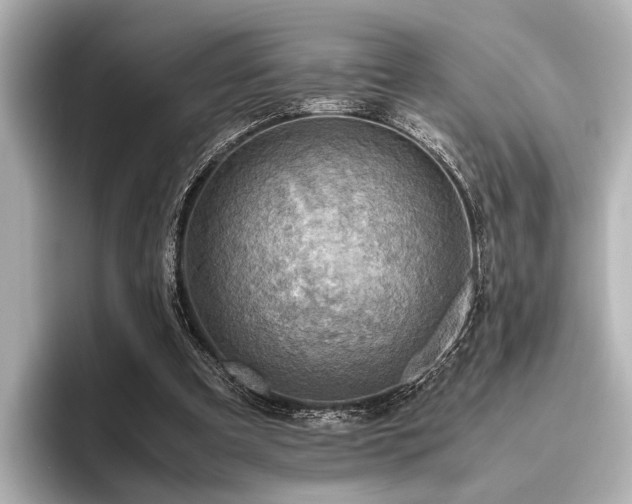 X0000096440297200801241404