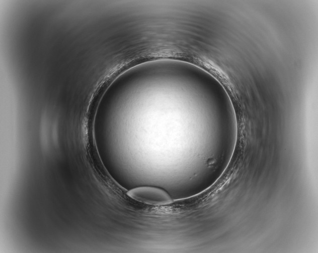 X0000096440298200801241404
