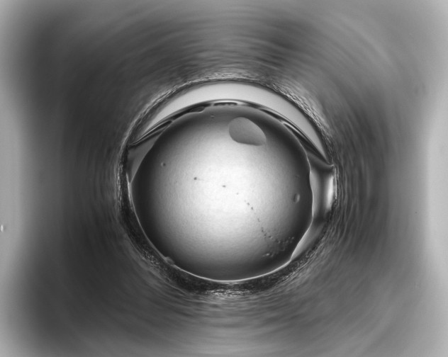 X0000096440300200801241404