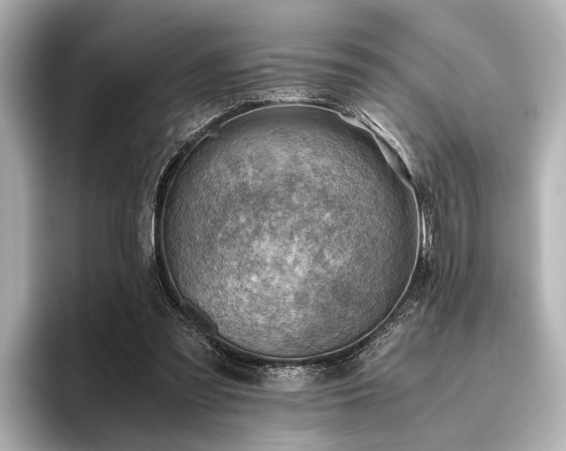 X0000096440301200801241404