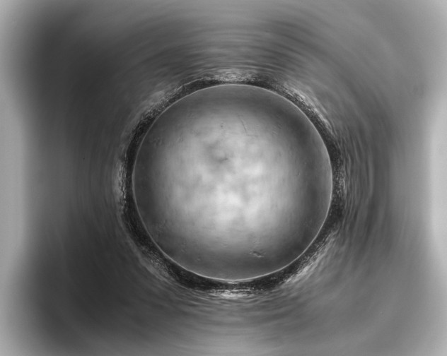 X0000096440303200801241404