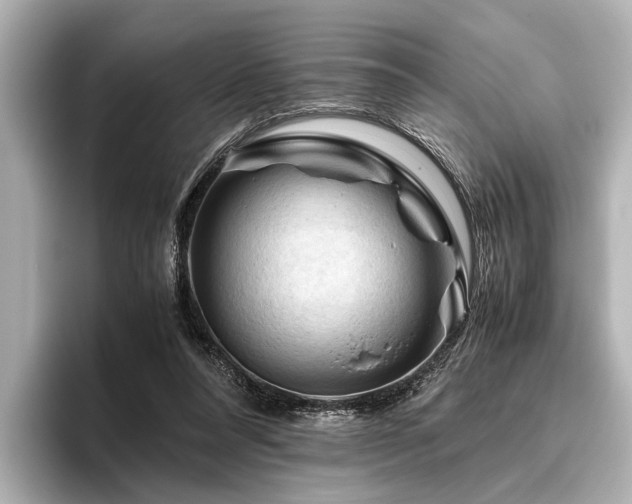 X0000096440304200801241404