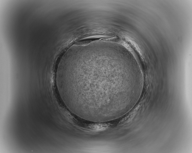 X0000096440305200801241404