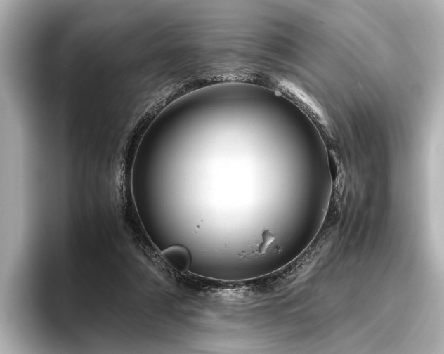X0000096440306200801241404