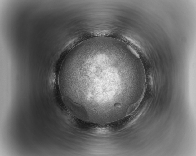 X0000096440308200801241404