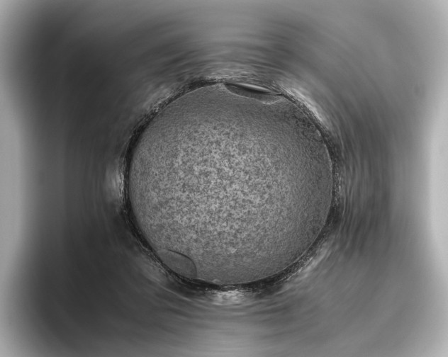 X0000096440309200801241404