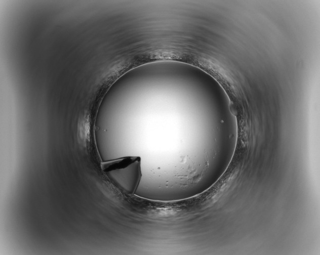 X0000096440310200801241404