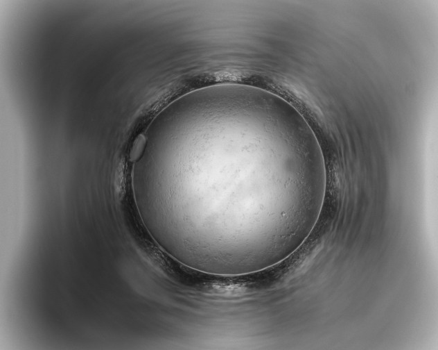 X0000096440311200801241404
