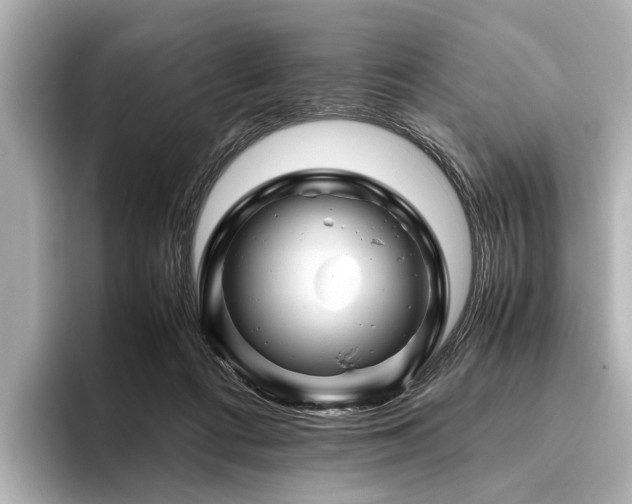 X0000096440312200801241404