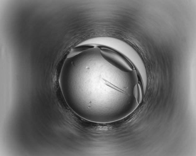 X0000096440314200801241404