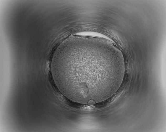 X0000096440321200801241404