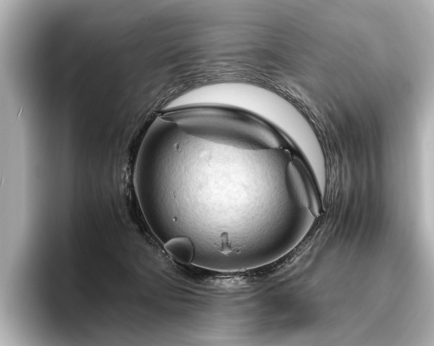 X0000096440322200801241404