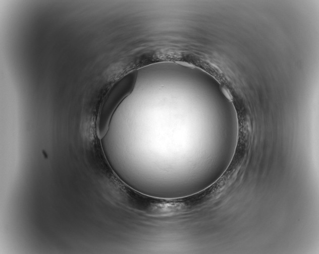 X0000096440323200801241404