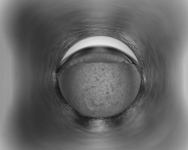 X0000096440325200801241404