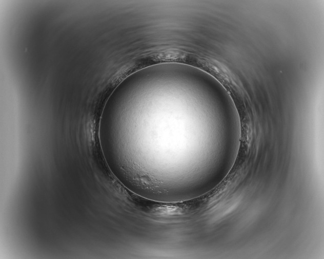 X0000096440326200801241404