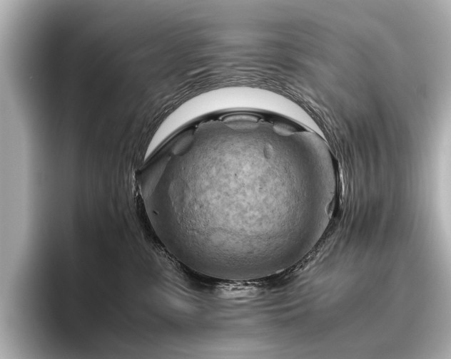 X0000096440331200801241403
