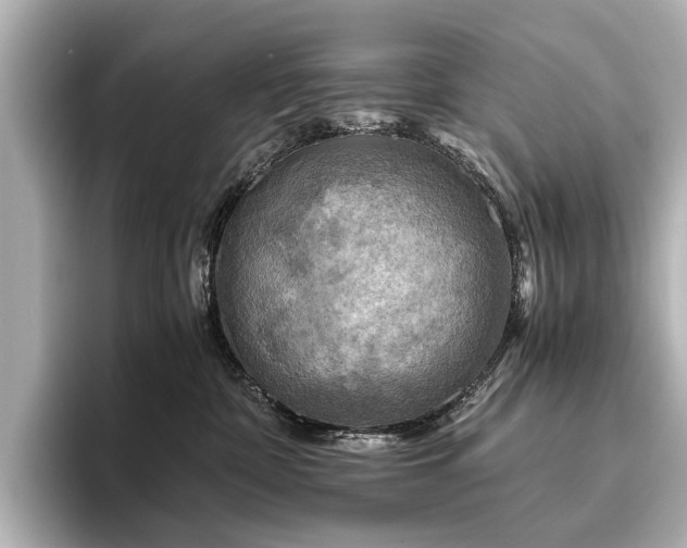 X0000096440332200801241403