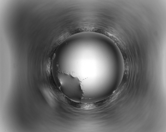 X0000096440334200801241403